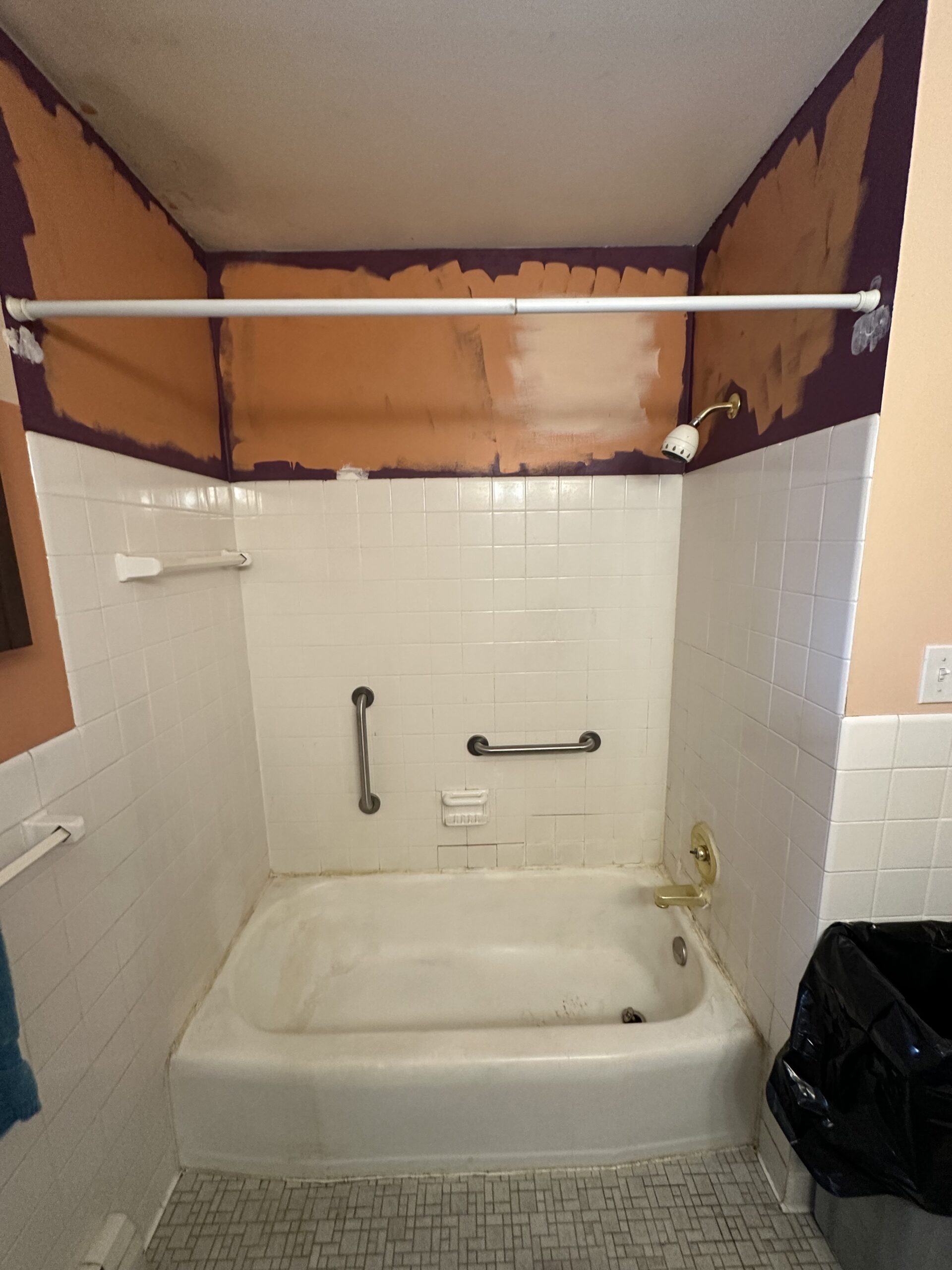 Before Bathroom Remodel